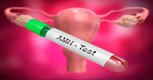 Xét nghiệm AMH là một trong những xét nghiệm giúp đánh giá chất lượng trứng